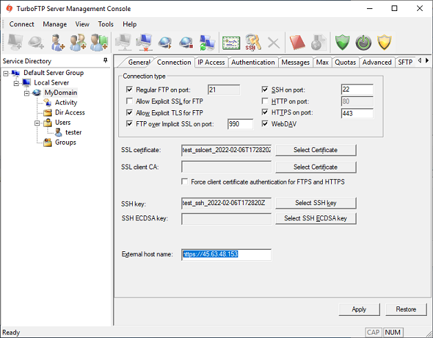 Configuring the External Hostname in the Domain Connection settings