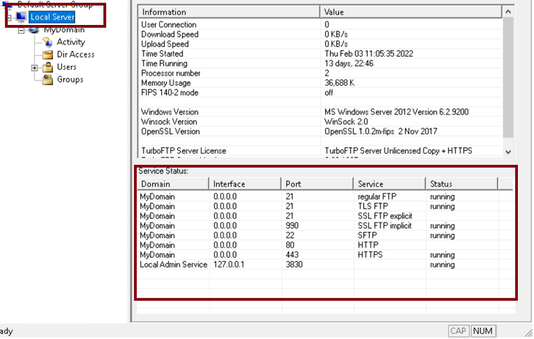 TurboFTP Server domain status indicator showing the domain is active